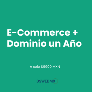 E-COMMERCE + DOMINIO 1 AÑO